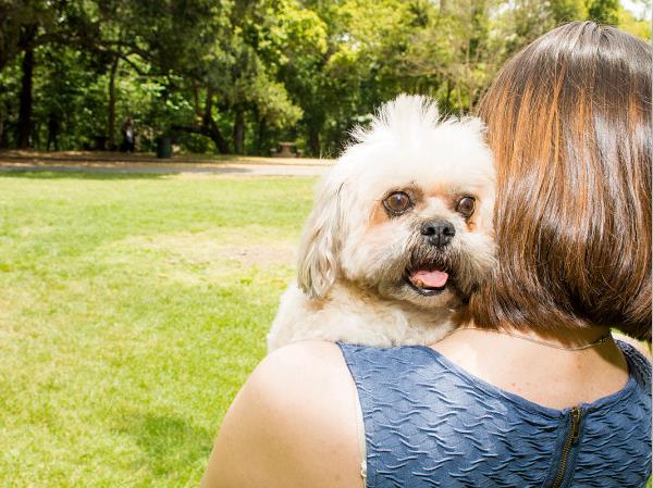 11218153_872147779501331_7896018980737523068_n